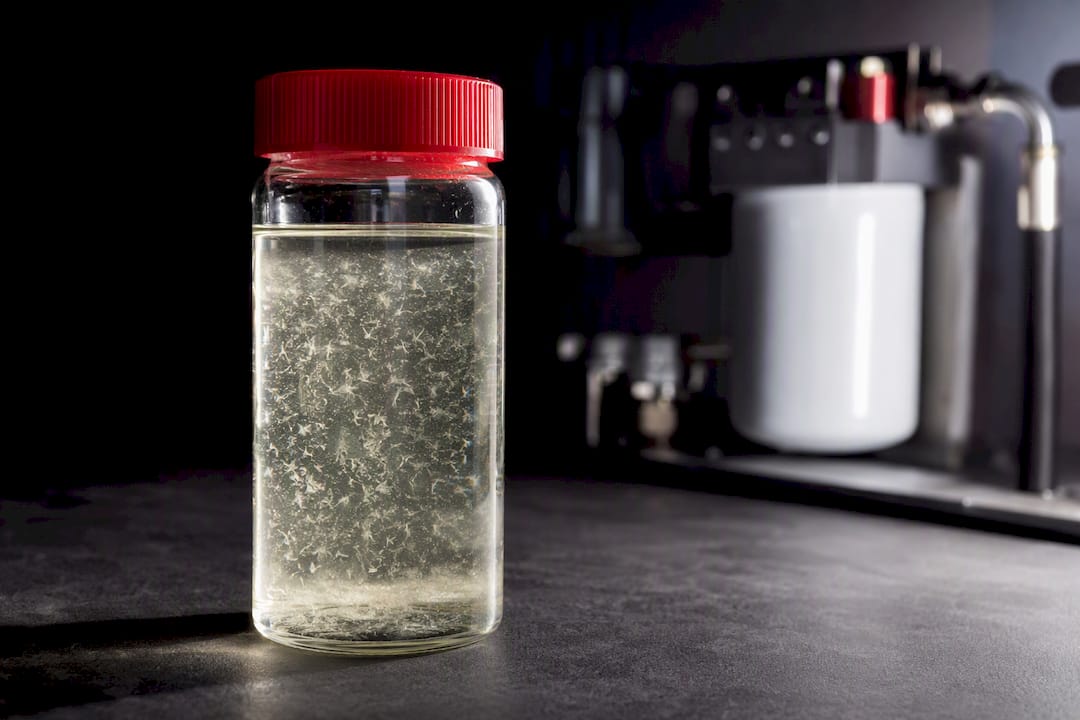 Diesel sample showing wax crystals