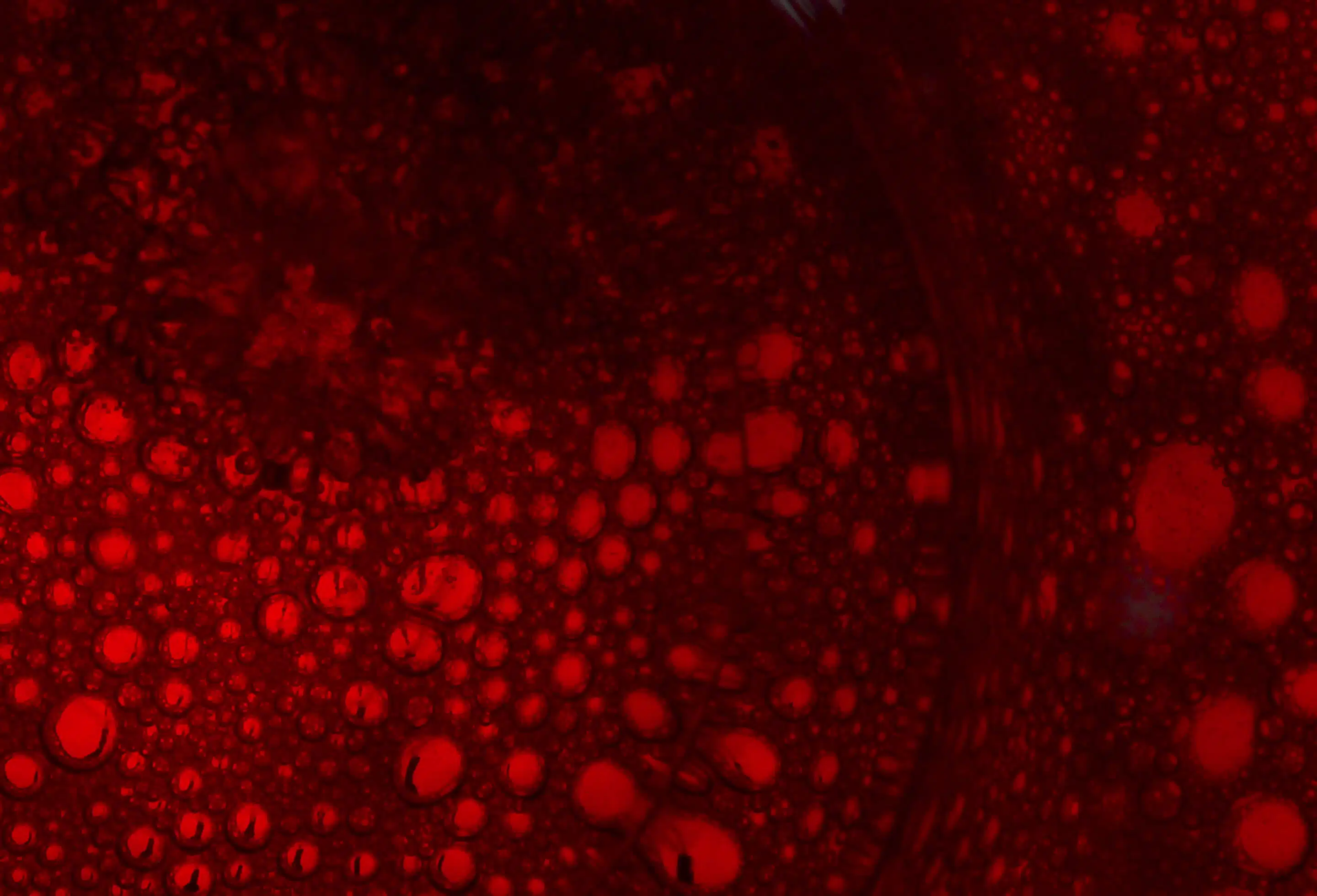 Closeup effervescing cabernet pouring vessel. Alcoholic liquor making bubbles red diesel fuel being extracted for polishing
